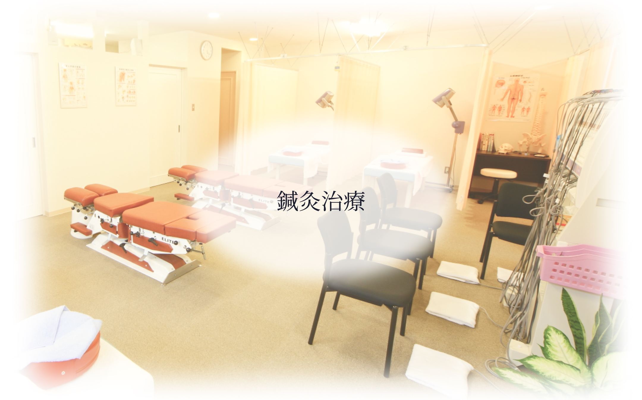 針灸治療大全 針灸治療大全 | 単行本,鍼灸 | 東洋学術出版社 WEB STORE